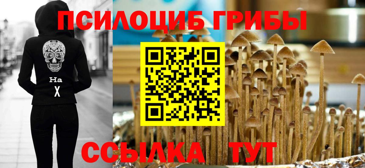Псилоцибиновые грибы Cubensis Ноябрьск